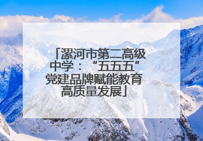 漯河市第二高级中学：“五五五”党建品牌赋能教育高质量发展