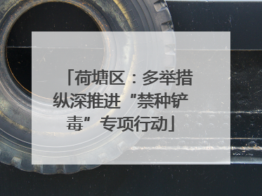 荷塘区：多举措纵深推进“禁种铲毒”专项行动