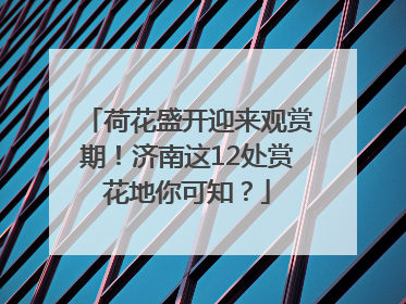 荷花盛开迎来观赏期！济南这12处赏花地你可知？