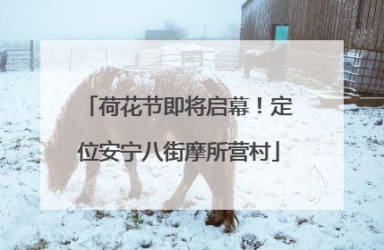荷花节即将启幕！定位安宁八街摩所营村