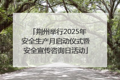 荆州举行2025年安全生产月启动仪式暨安全宣传咨询日活动