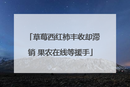 草莓西红柿丰收却滞销 果农在线等援手