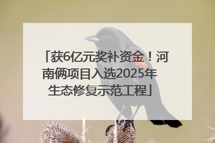 获6亿元奖补资金！河南俩项目入选2025年生态修复示范工程