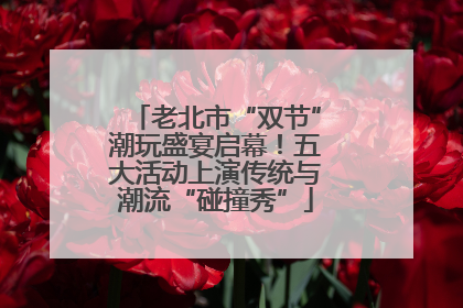 老北市“双节”潮玩盛宴启幕！五大活动上演传统与潮流“碰撞秀”