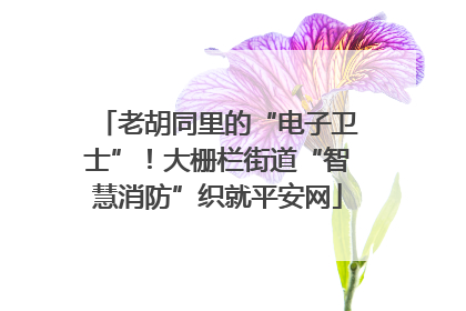 老胡同里的“电子卫士”！大栅栏街道“智慧消防”织就平安网