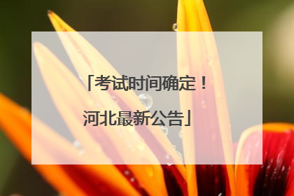 考试时间确定！河北最新公告