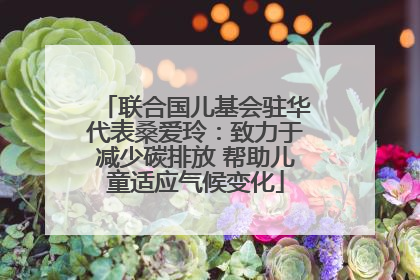 联合国儿基会驻华代表桑爱玲：致力于减少碳排放 帮助儿童适应气候变化