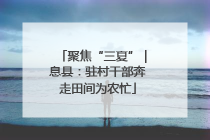 聚焦“三夏”｜息县：驻村干部奔走田间为农忙