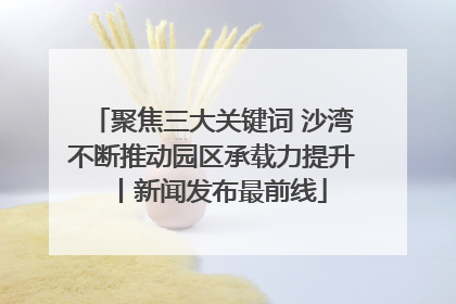 聚焦三大关键词 沙湾不断推动园区承载力提升丨新闻发布最前线