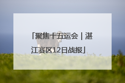 聚焦十五运会｜湛江赛区12日战报