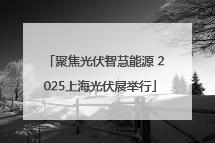 聚焦光伏智慧能源 2025上海光伏展举行