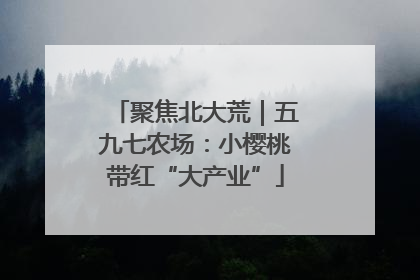 聚焦北大荒｜五九七农场：小樱桃带红“大产业”