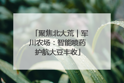 聚焦北大荒｜军川农场：智能喷药护航大豆丰收
