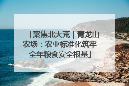 聚焦北大荒｜青龙山农场：农业标准化筑牢全年粮食安全根基
