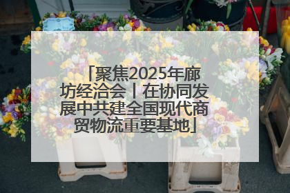 聚焦2025年廊坊经洽会丨在协同发展中共建全国现代商贸物流重要基地