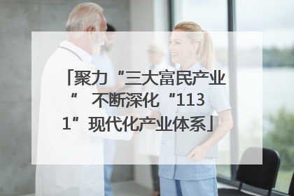 聚力“三大富民产业” 不断深化“1131”现代化产业体系