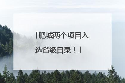 肥城两个项目入选省级目录！