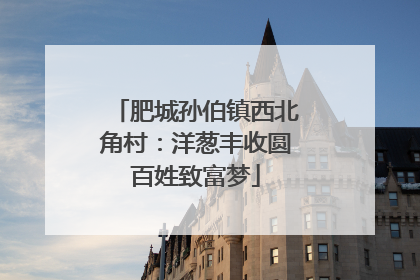肥城孙伯镇西北角村：洋葱丰收圆百姓致富梦