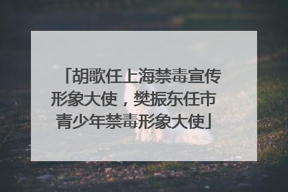胡歌任上海禁毒宣传形象大使，樊振东任市青少年禁毒形象大使