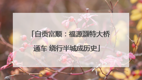 自贡富顺：福源灏特大桥通车 绕行半城成历史
