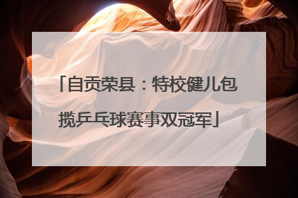 自贡荣县：特校健儿包揽乒乓球赛事双冠军