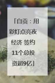 自贡：用彩灯点亮夜经济 签约11个总投资超9亿