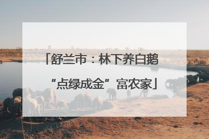舒兰市：林下养白鹅 “点绿成金”富农家