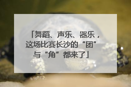 舞蹈、声乐、器乐，这场比赛长沙的“团”与“角”都来了