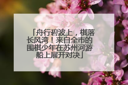 舟行碧波上，棋落长风湾！来自全市的围棋少年在苏州河游船上展开对决