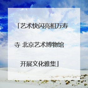 艺术快闪亮相万寿寺 北京艺术博物馆开展文化雅集