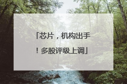 芯片，机构出手！多股评级上调