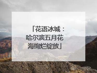 花语冰城：哈尔滨五月花海绚烂绽放