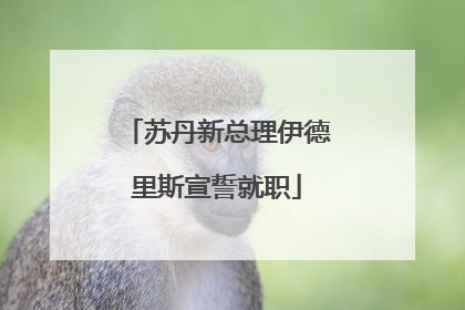 苏丹新总理伊德里斯宣誓就职