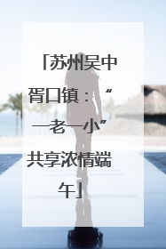苏州吴中胥口镇：“一老一小”共享浓情端午