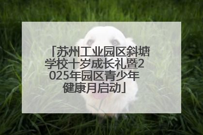 苏州工业园区斜塘学校十岁成长礼暨2025年园区青少年健康月启动
