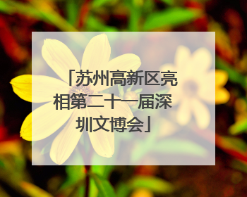 苏州高新区亮相第二十一届深圳文博会