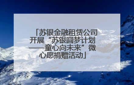 苏银金融租赁公司开展“苏银圆梦计划——童心向未来”微心愿捐赠活动