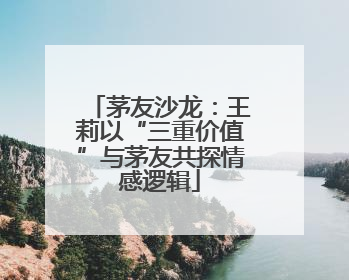茅友沙龙：王莉以“三重价值”与茅友共探情感逻辑
