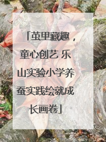 茧里藏趣，童心创艺 乐山实验小学养蚕实践绘就成长画卷