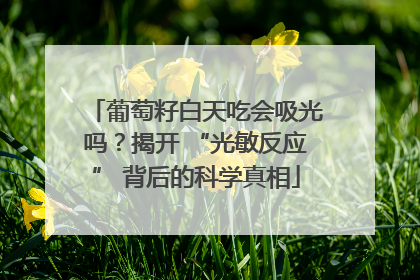葡萄籽白天吃会吸光吗？揭开 “光敏反应” 背后的科学真相