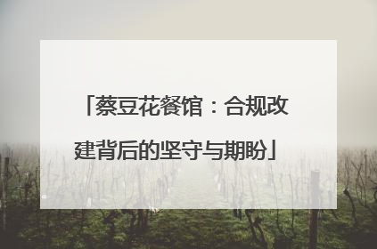 蔡豆花餐馆：合规改建背后的坚守与期盼