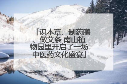 识本草、制药膳、做艾条 南山植物园里开启了一场中医药文化盛宴
