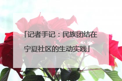 记者手记：民族团结在宁夏社区的生动实践