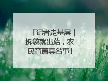 记者走基层｜拆袋就出菇，农民育菌真省事