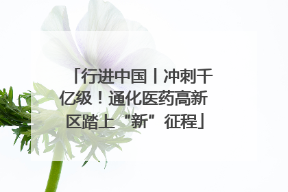 行进中国丨冲刺千亿级！通化医药高新区踏上“新”征程
