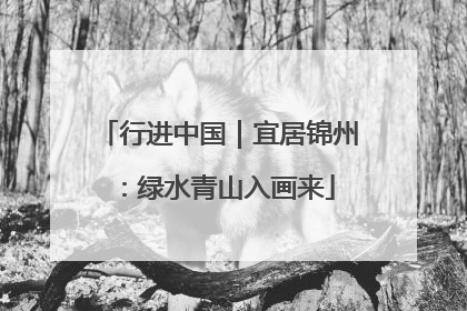 行进中国｜宜居锦州：绿水青山入画来
