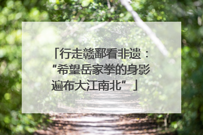 行走赣鄱看非遗：“希望岳家拳的身影遍布大江南北”