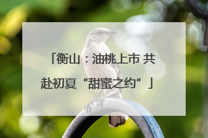 衡山：油桃上市 共赴初夏“甜蜜之约”