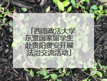 西南政法大学东盟国家留学生赴贵阳贵安开展法治交流活动