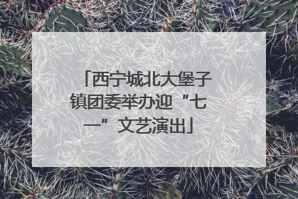 西宁城北大堡子镇团委举办迎“七一”文艺演出